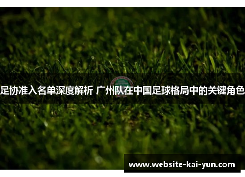 足协准入名单深度解析 广州队在中国足球格局中的关键角色