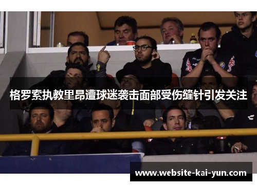 格罗索执教里昂遭球迷袭击面部受伤缝针引发关注
