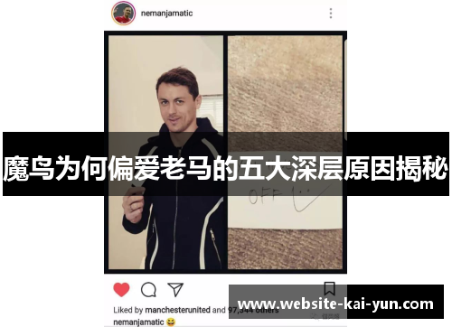 魔鸟为何偏爱老马的五大深层原因揭秘